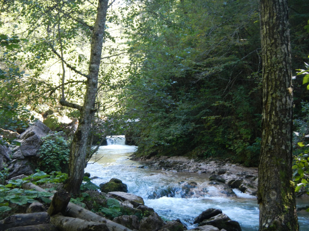 Kurdzhips Gorge