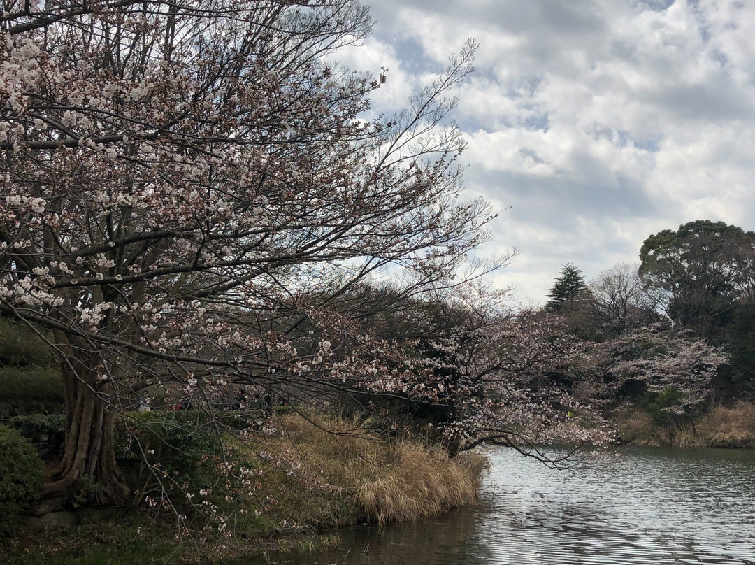 Mitsuike Park景点图片