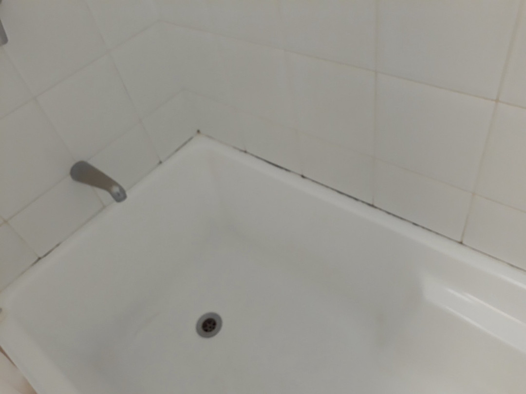 塔威尔洛奇酒店主图