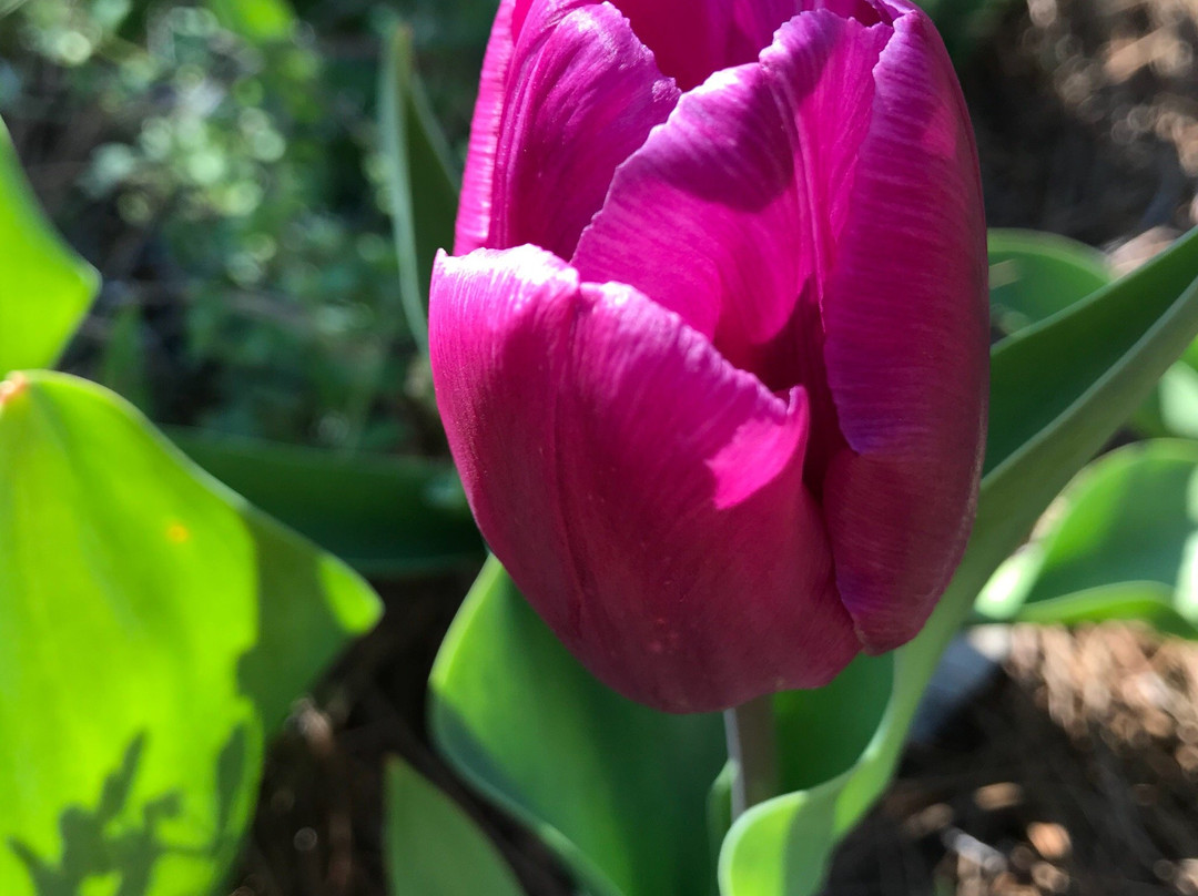 Discovery Center-默弗里斯伯勒必去景点