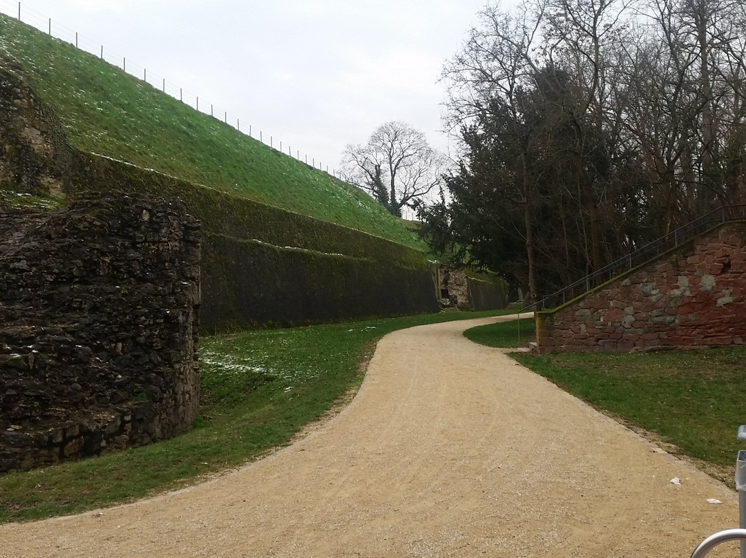 Festung Rüsselsheim景点图片