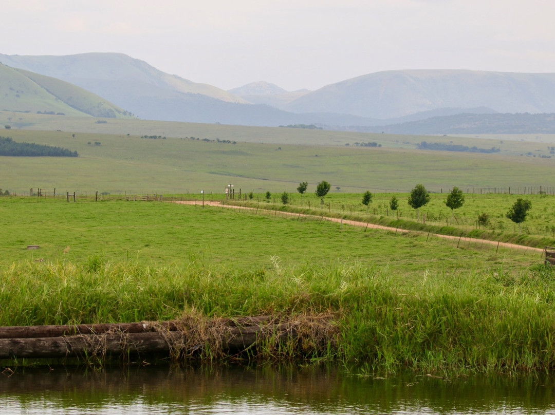 Dusk to Dawn Farm Guesthouse主图