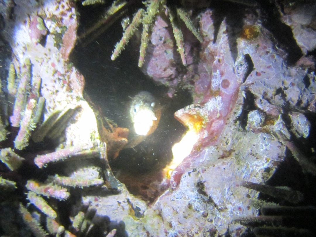 Devil's Crown-Floreana必去景点