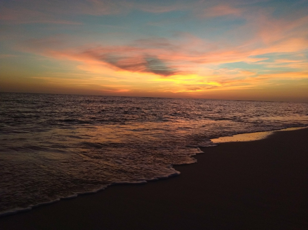 Apo Reef Natural Park景点图片