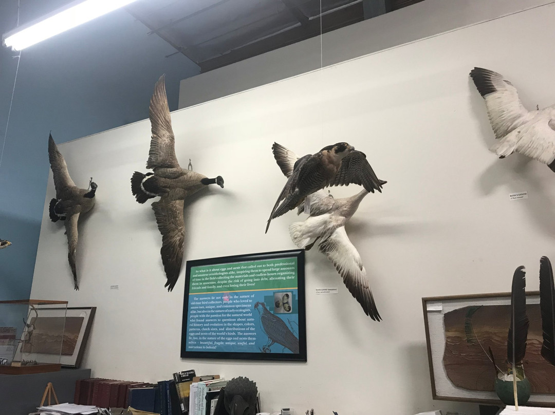 The Western Foundation of Vertebrate Zoology-卡马里奥必去景点