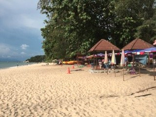 Lone Pine Resort主图