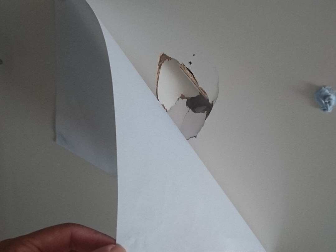 冰斯汽车旅馆主图