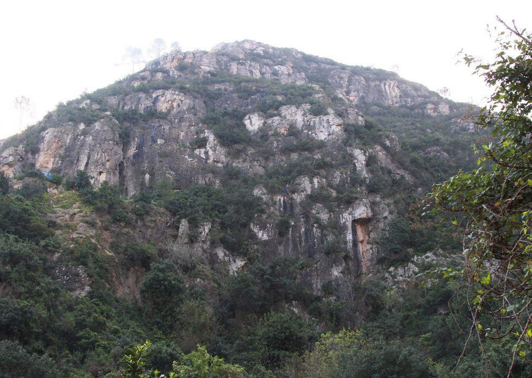 Cova del Bolomor景点图片