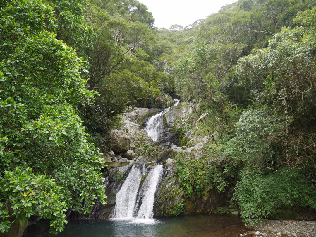 Arangachi Waterfall景点图片