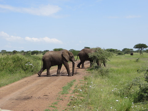 The Mane Tours Ltd.-Ruhengeri必去景点