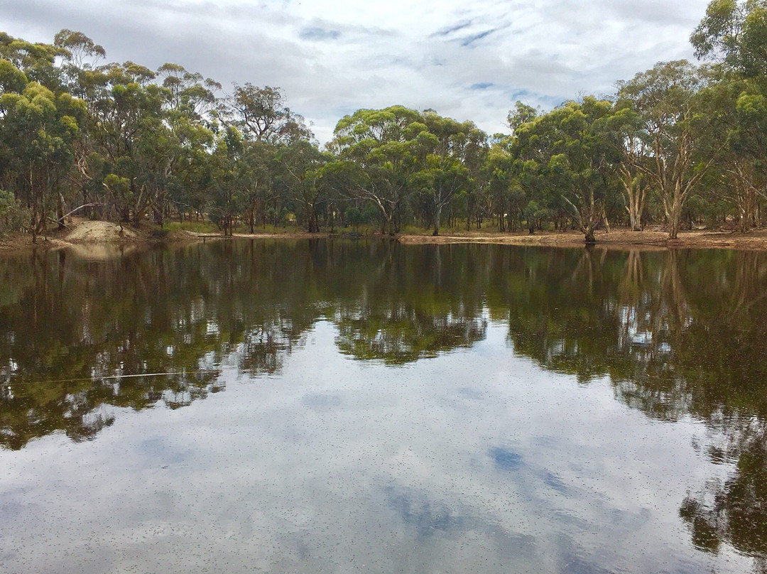 Dryandra Woodland景点图片