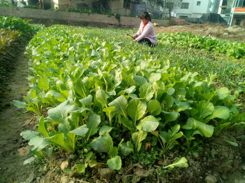 栖心·九隐的院子（阳朔十里画廊遇龙河店）主图