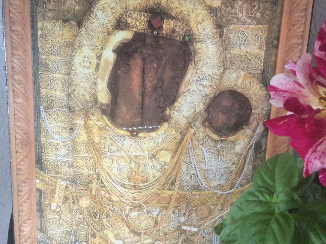 Australis Hotel主图