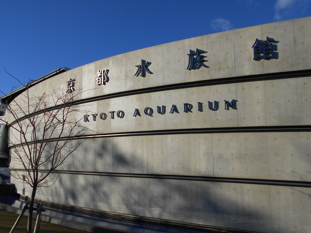 京都水族馆景点图片