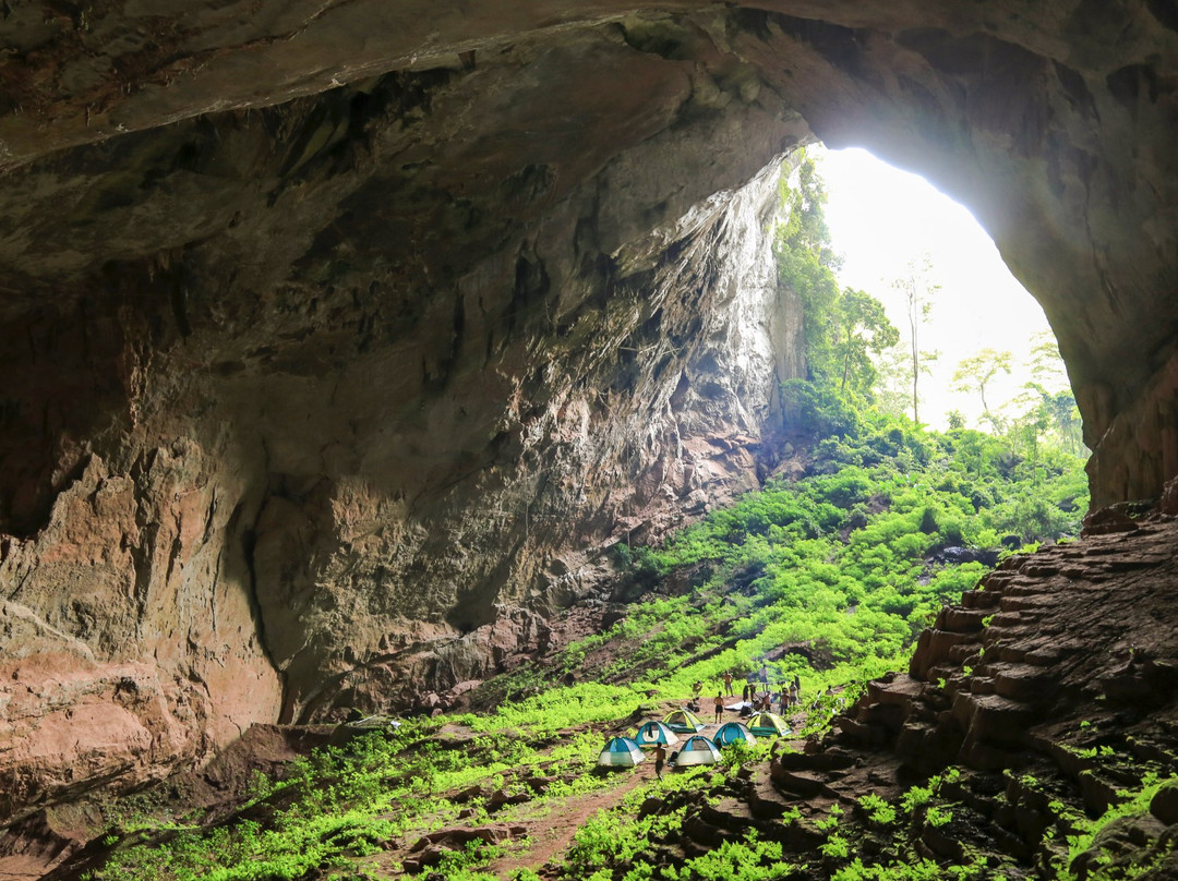 Jungle Boss Tours-峰牙－己榜国家公园必去景点