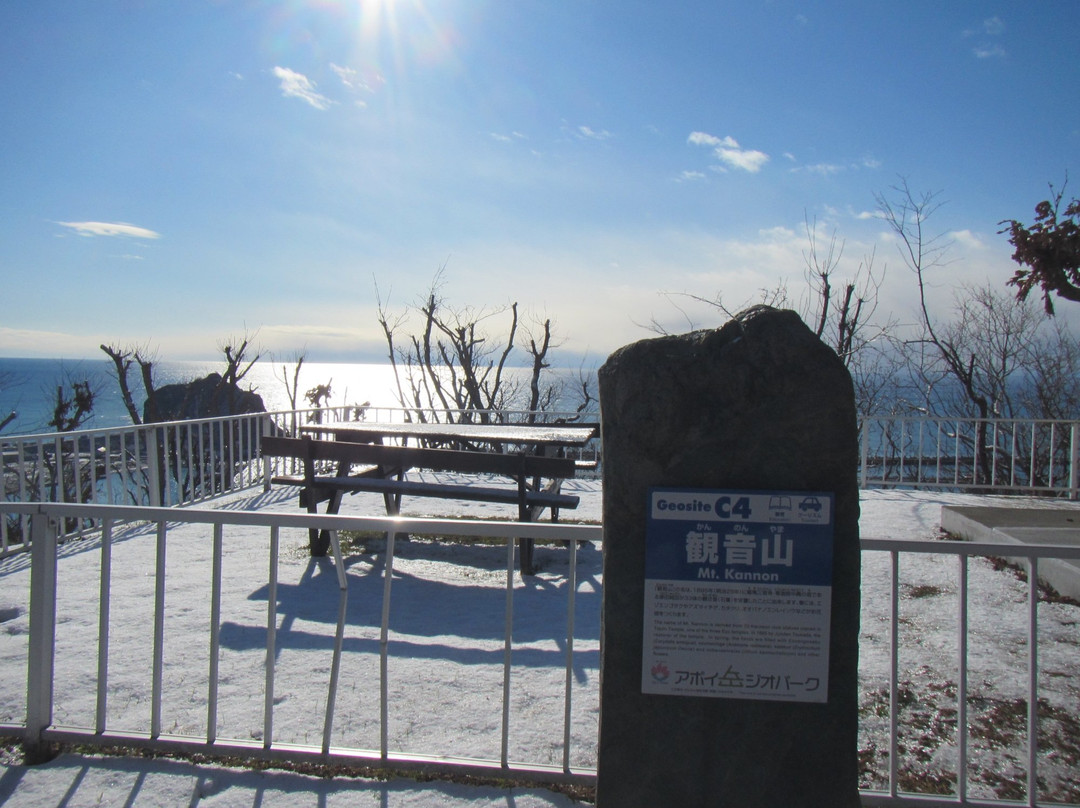 Kannonyama Park-样似町必去景点