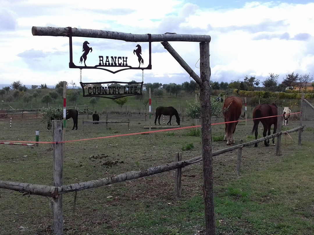 ASD Ranch Country Life景点图片