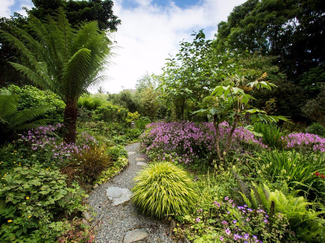 Cluain Na Dtor Seaside Gardens & Nursery-Falcarragh必去景点