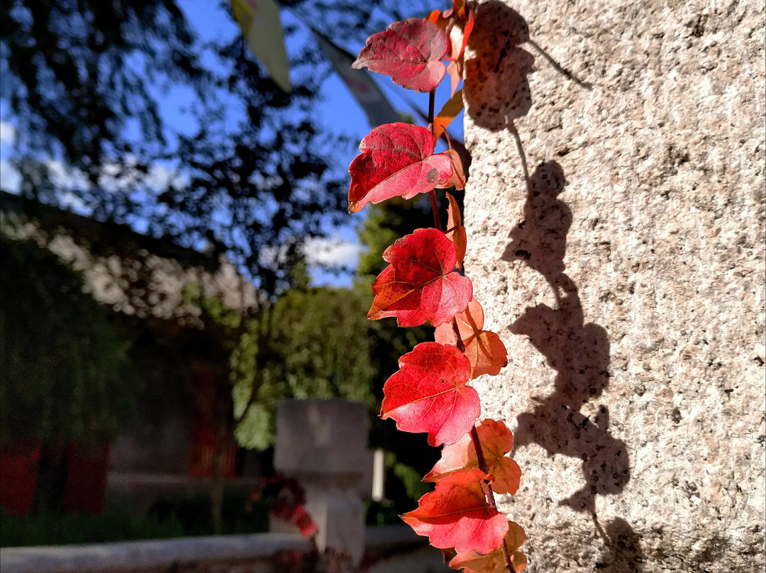 青岛即墨天井山-即墨市必去景点