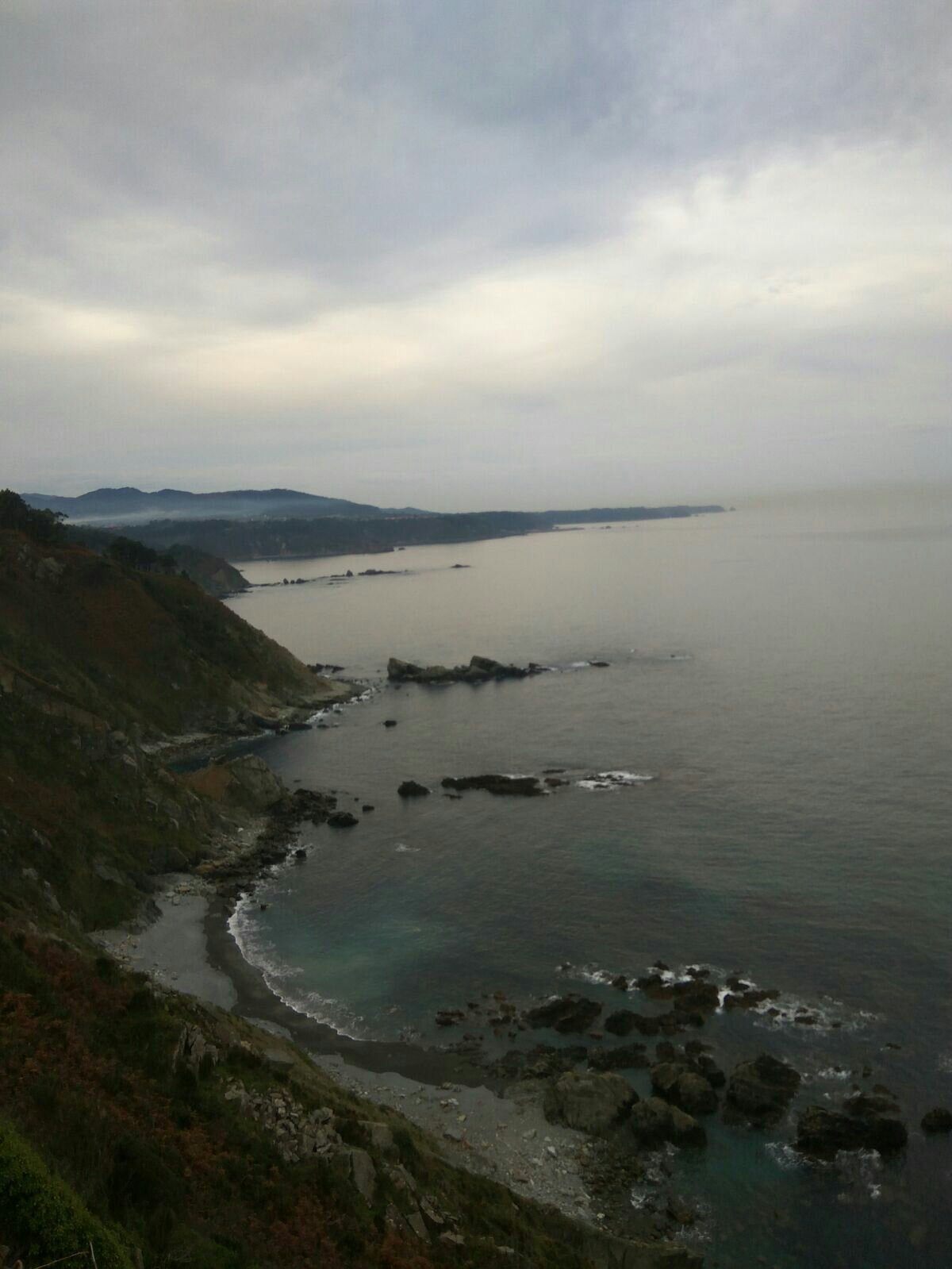 Pension Arango-官方