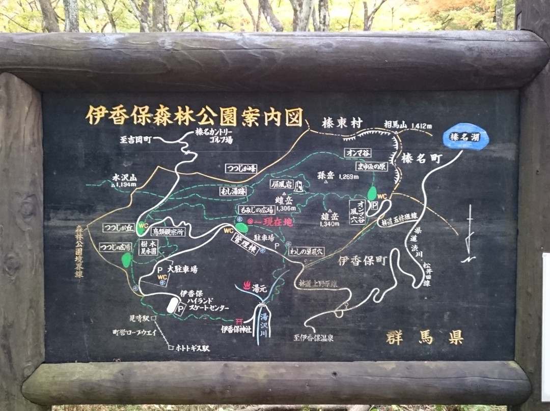 Ikaho Shinrin Park景点图片