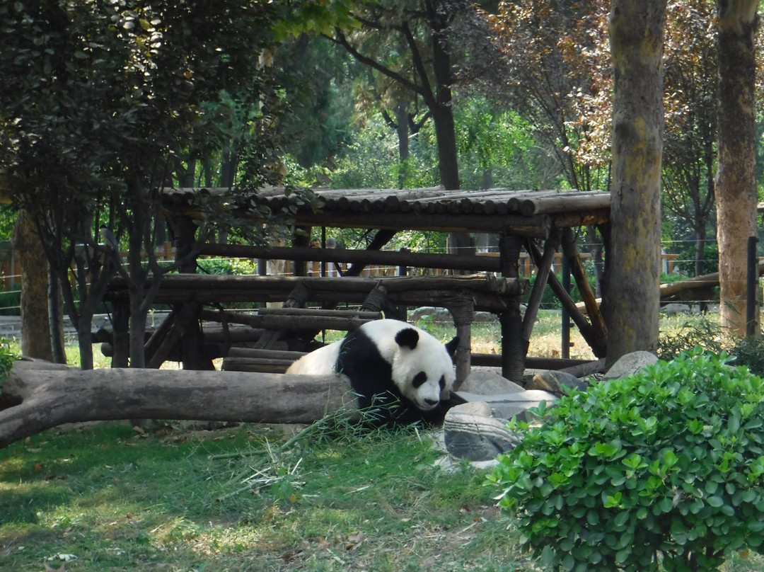 济南动物园景点图片