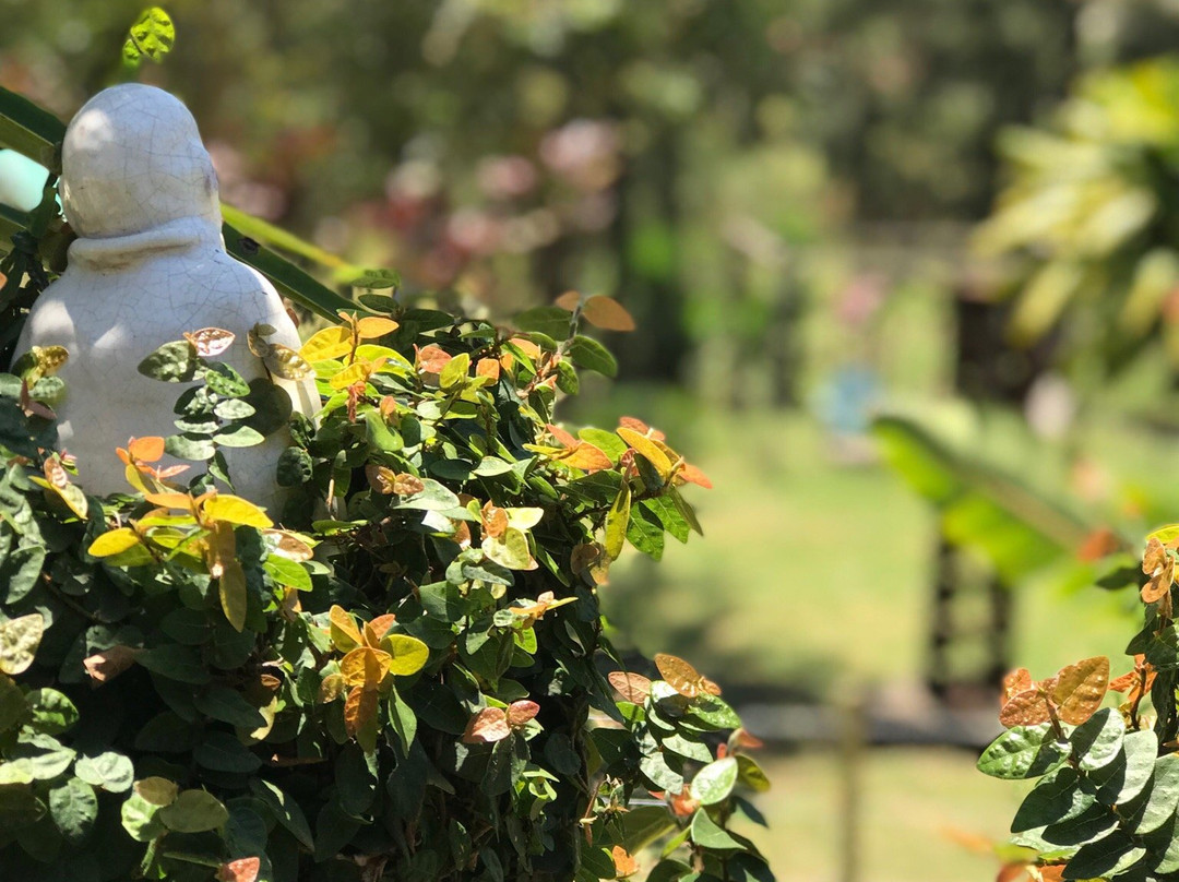 Fazenda do Curral Hospedagem主图