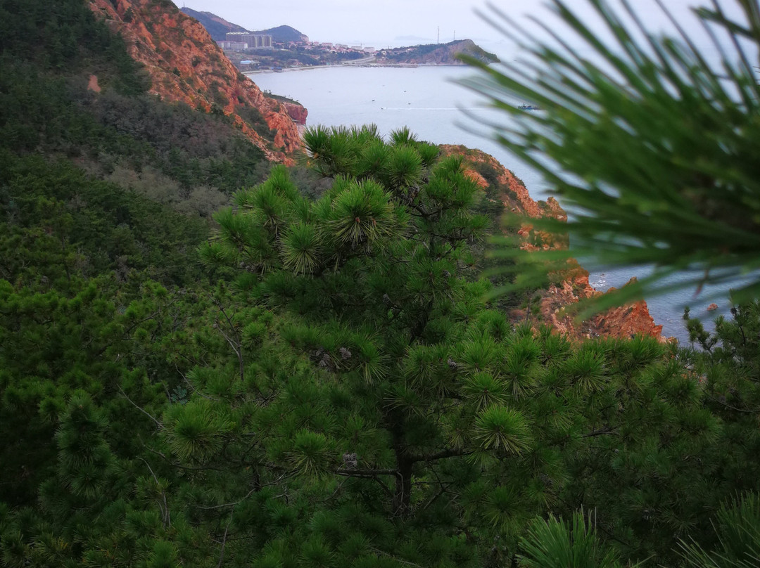 长岛林海公园-长岛县必去景点