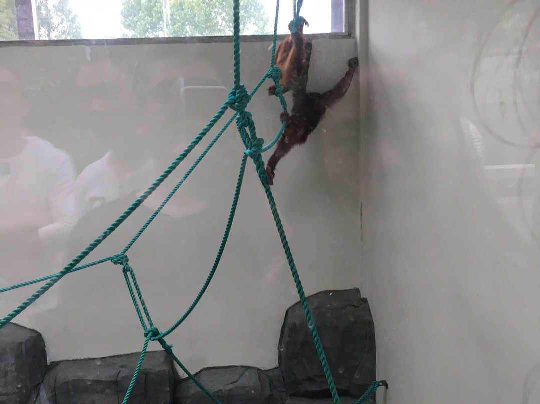 中南百草园-安吉县必去景点