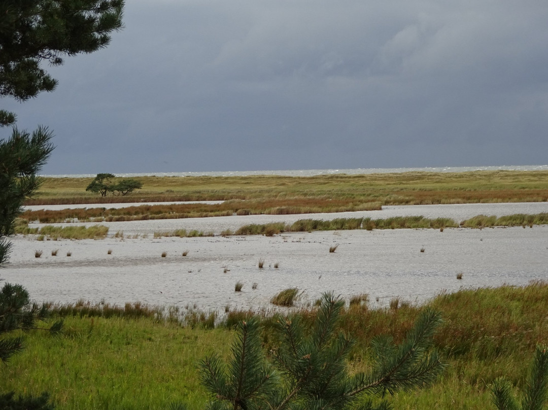 Western Pomerania Lagoon Area National Park景点图片