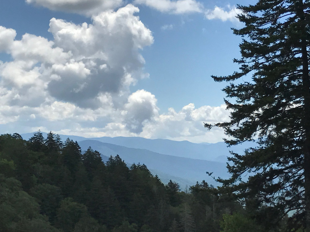 Rockefeller Memorial-大雾山国家公园必去景点