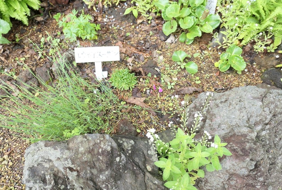 Rishiri Island Folk Museum-利尻富士町必去景点