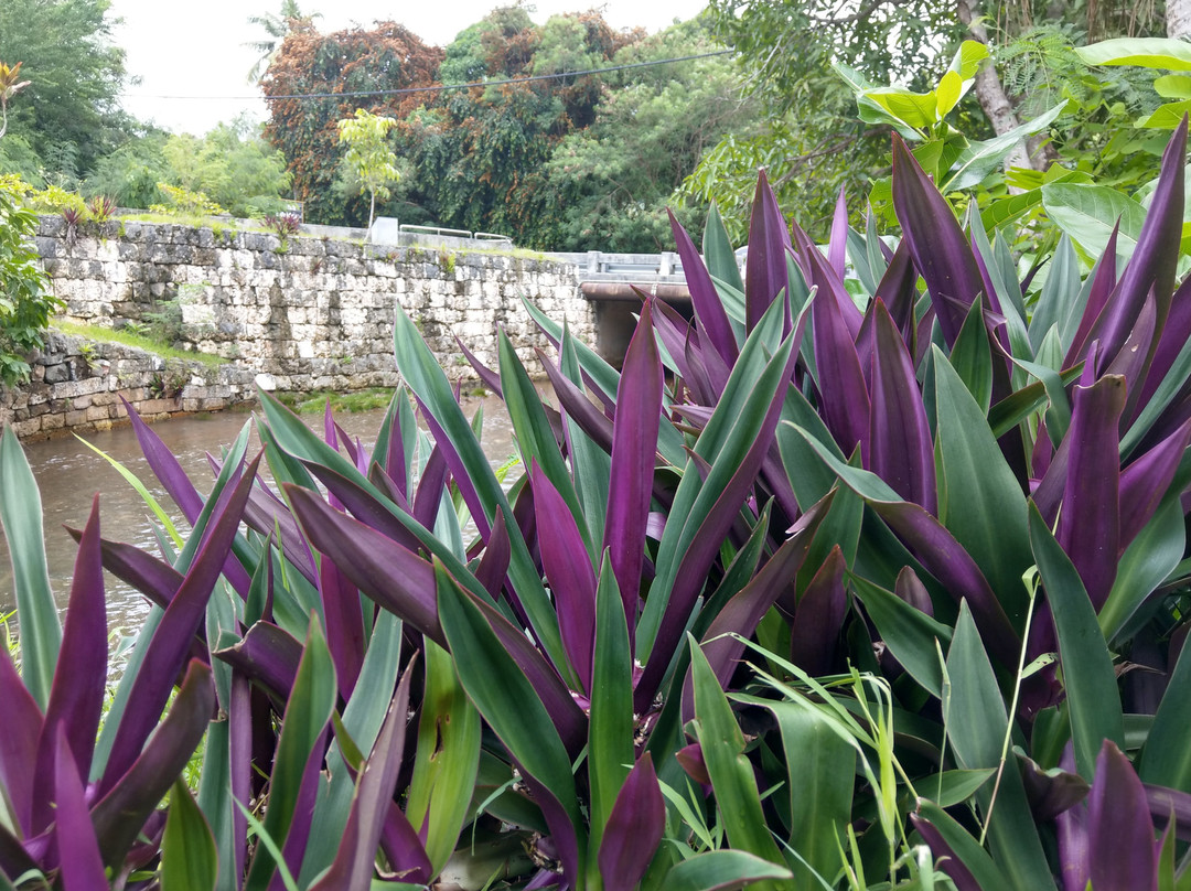Taleyfac Spanish Bridge-Agat必去景点