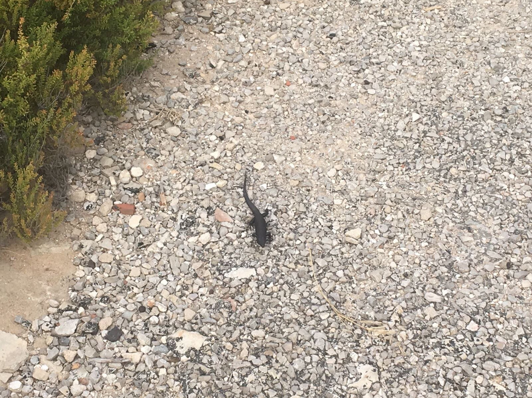 Illa de l'Aire-Punta Prima必去景点