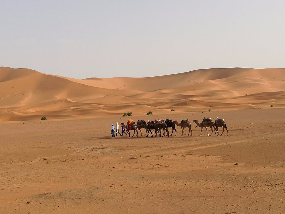 Fint Tours-阿伊特·本·哈杜筑垒村必去景点