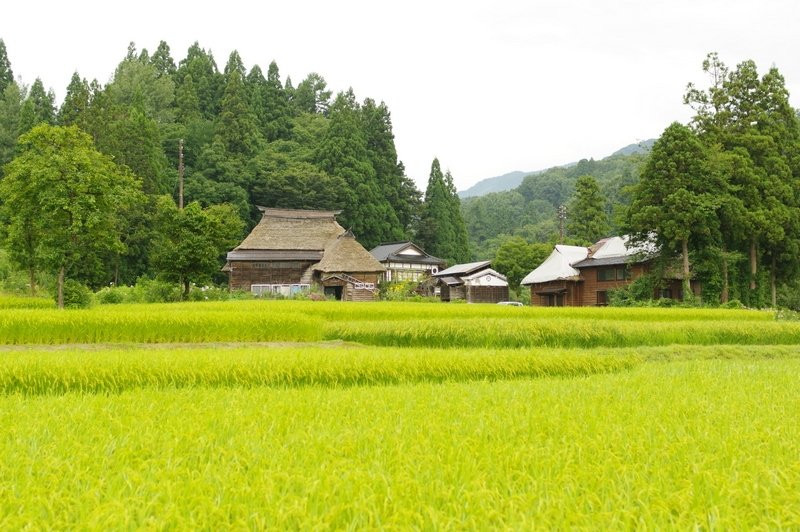 Oginoshima Kayabuki Loop Village景点图片