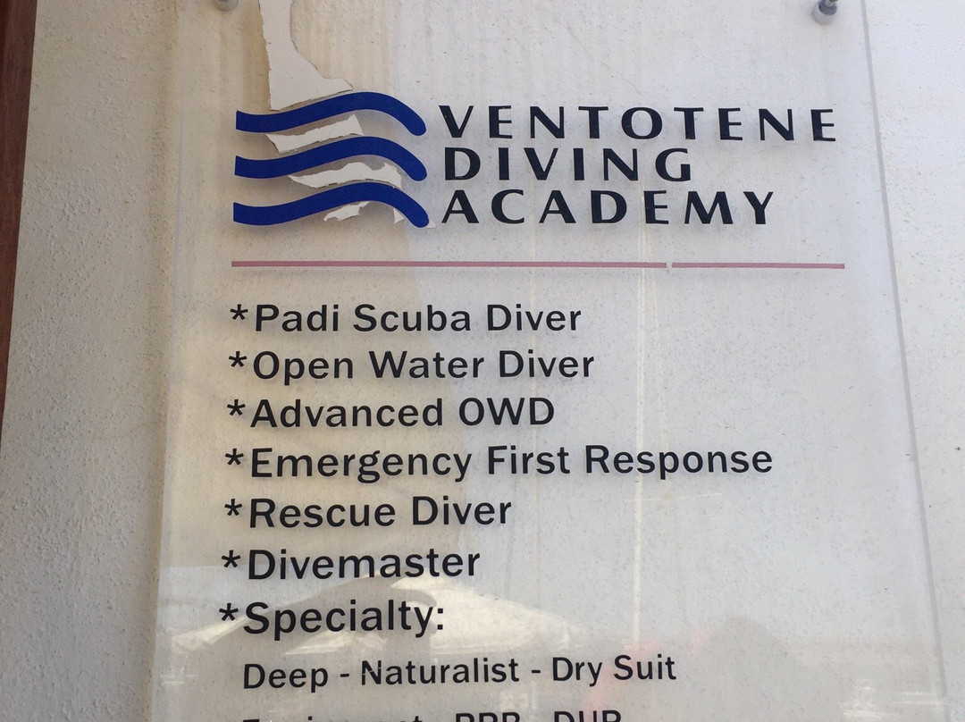 Ventotene Diving Academy景点图片