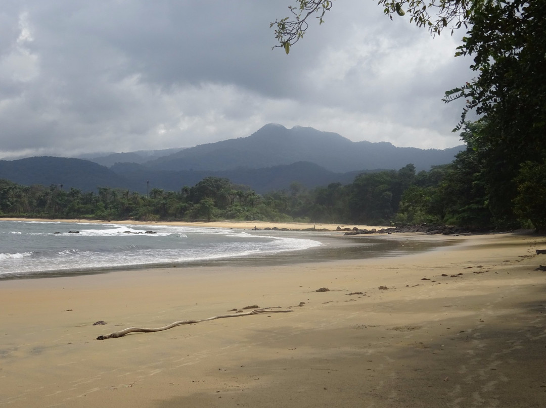 Tito's Paradise Eco Beach