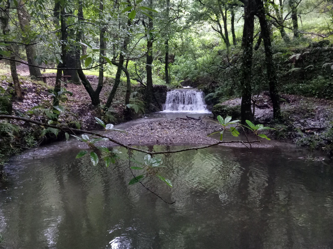 Benog Wildlife Sanctuary-马苏里必去景点