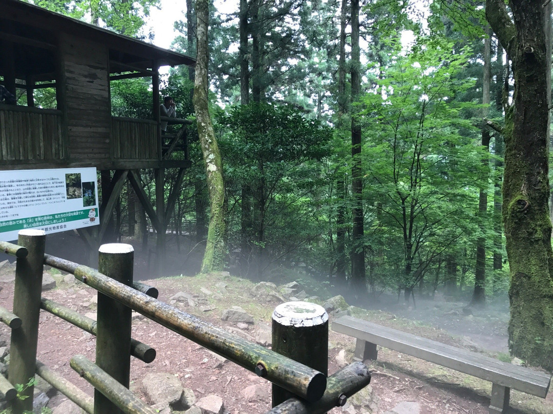 Kazaana - Kamihayashi Forest Park-东温市必去景点