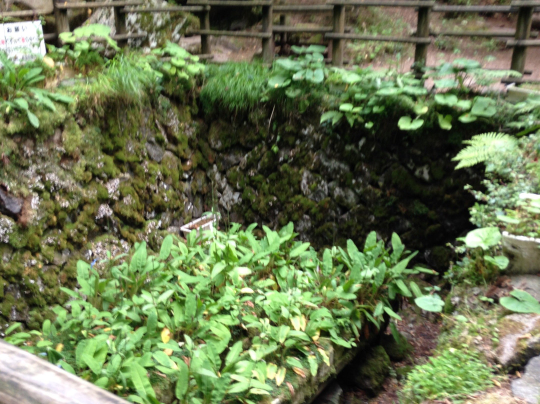 Kamihayashi Mizunomoto Somen-nagashi-东温市必去景点