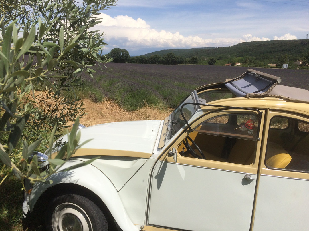 Virée Insolite en Provence-Bollene必去景点