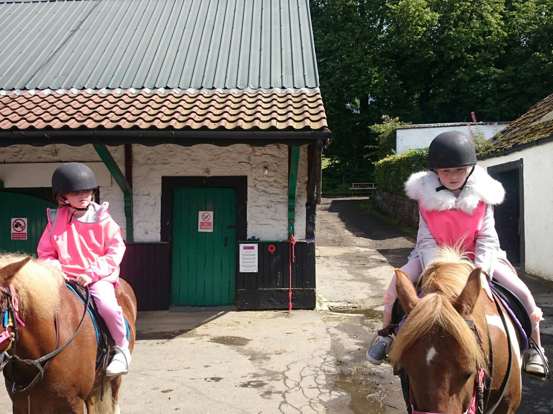 Wellsfield Equestrian-Horseback Riding-Denny必去景点