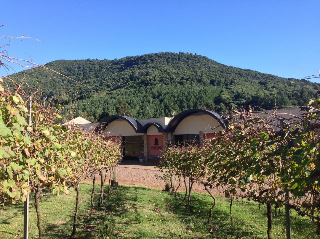 Vinicola Panceri景点图片