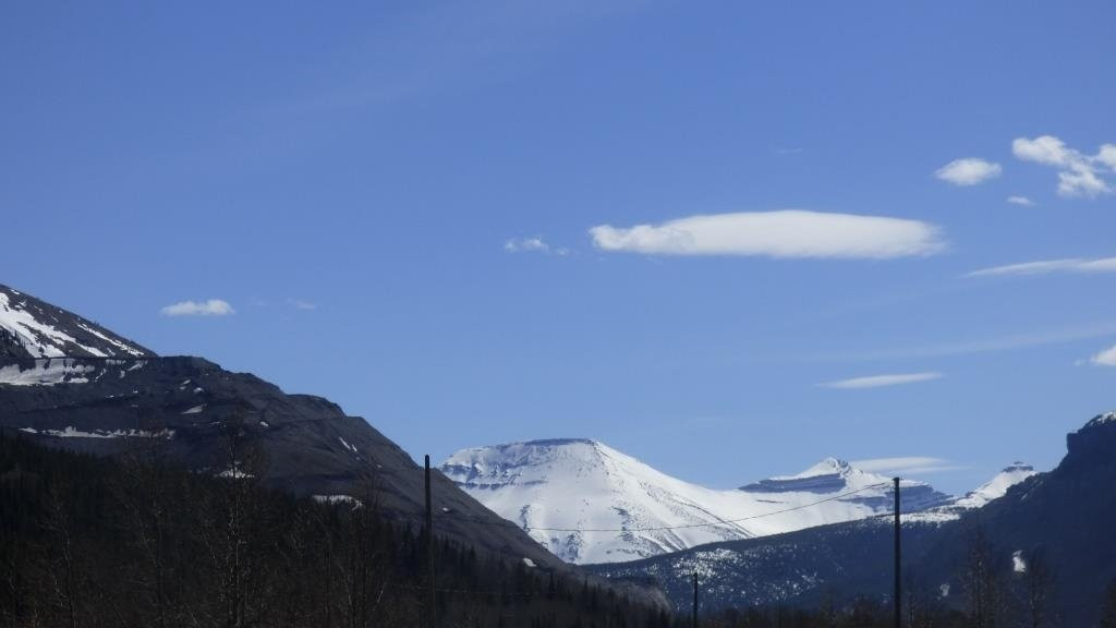 Whitehorse Wildland Provincial Park-Cadomin必去景点