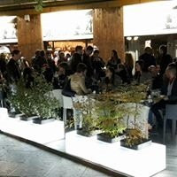 Bar President-诺瓦米拉内塞必去景点