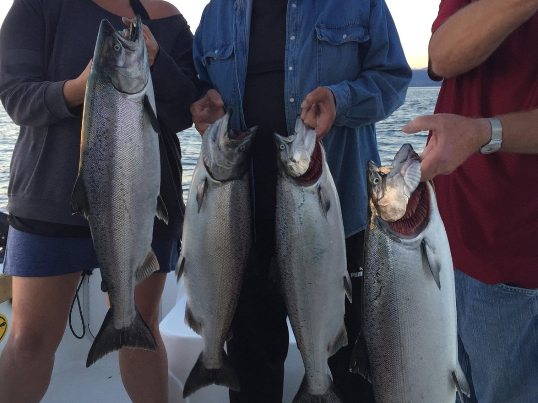 Powell River Sportfishing-鲍威尔里弗必去景点