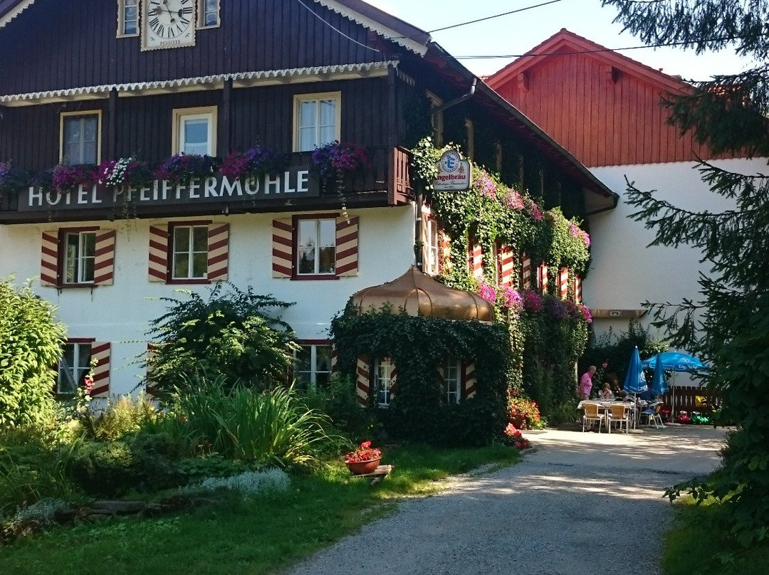 Hotel Pfeiffermuehle主图