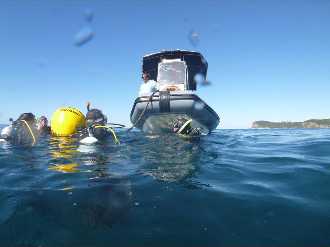 Pro-Dive Central Coast-Killarney Vale必去景点