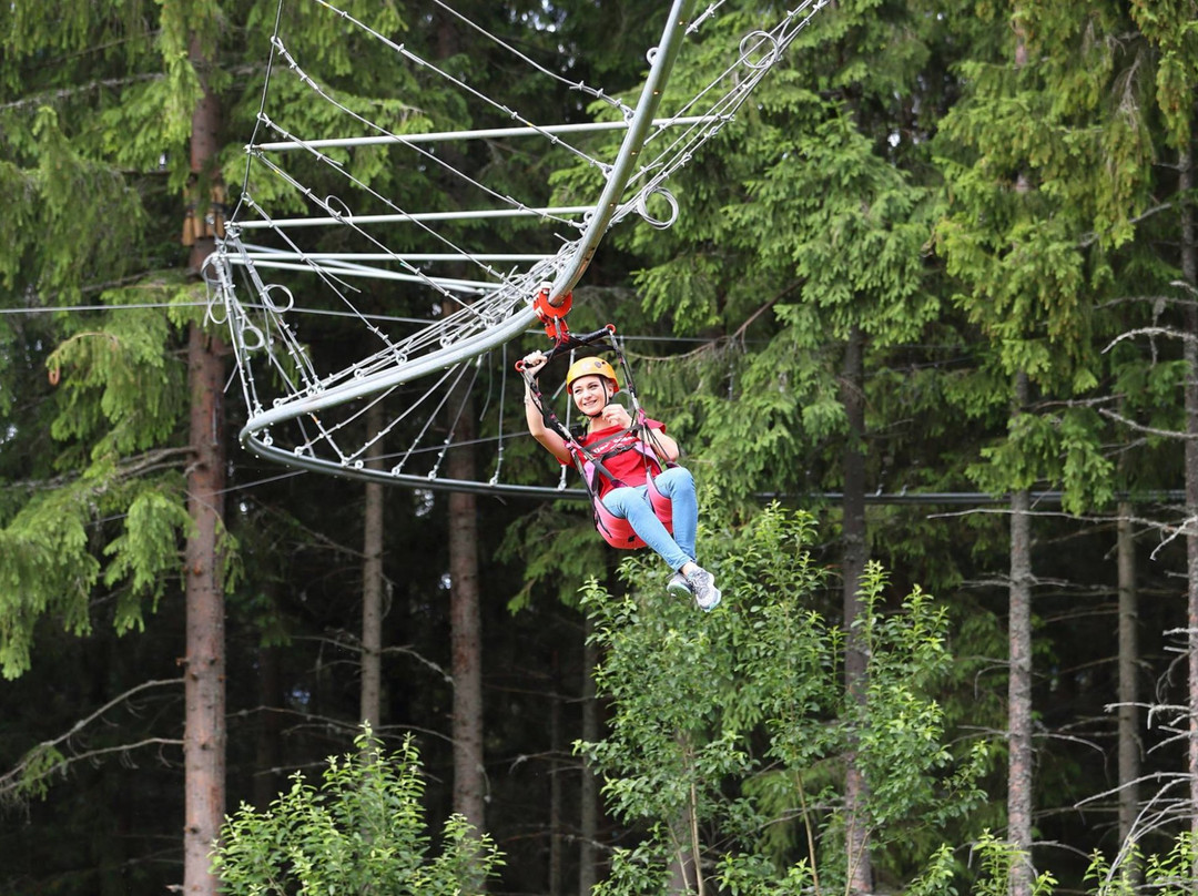 Roller Coaster Zipline